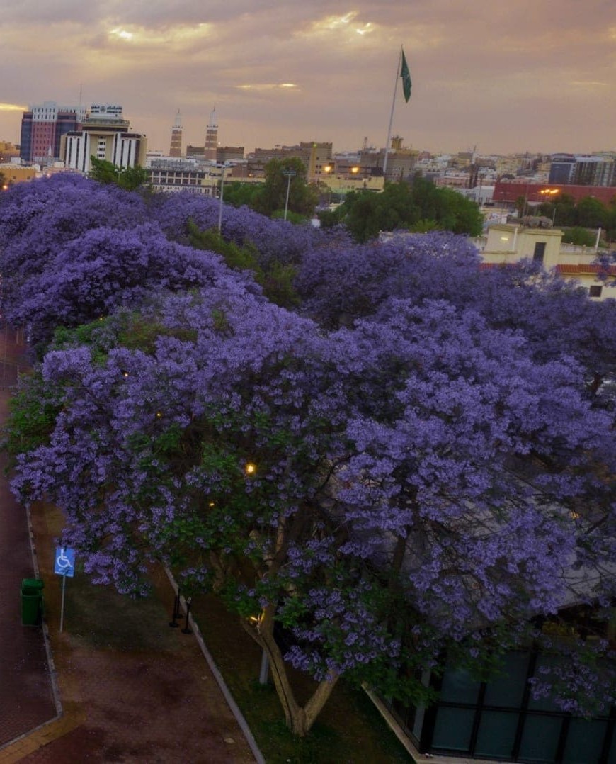 Join GCLA at Cityscape 2025