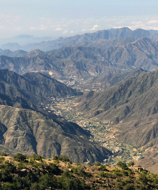 Design Studio Operations